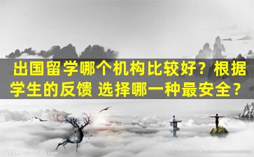 出国留学哪个机构比较好？根据学生的反馈 选择哪一种最安全？